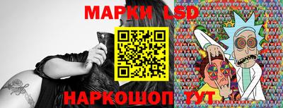 гидропоника Будённовск