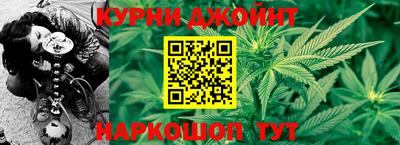 гидропоника Будённовск