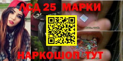 гидропоника Будённовск