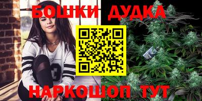 гидропоника Будённовск